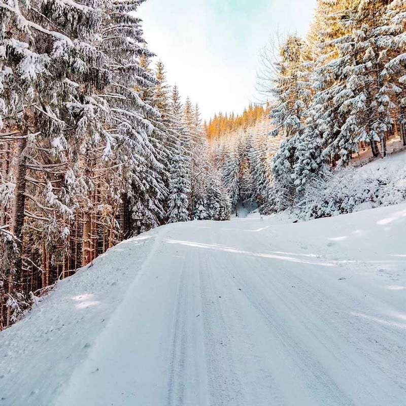 A snowy road through the woods near Falkensteiner Hotels