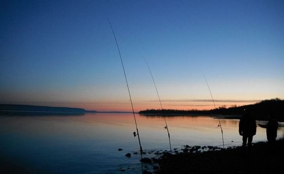 Fishing in Barrie - Monte Carlo Inns Barrie