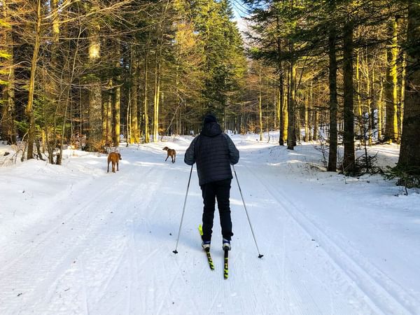 Person cross-country skiing on a snowy trail with two dogs ahead in Whistler Olympic park at Listel Whistler, a Coast Hotel