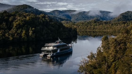 Cruise ship experience in Gordon River near Gordon River Cruise