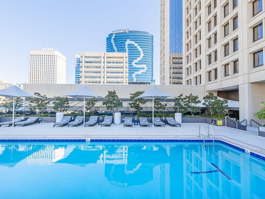 Rooftop swimming pool with lounge chairs and umbrellas, surrounded by high-rise buildings near Sofitel Brisbane Central