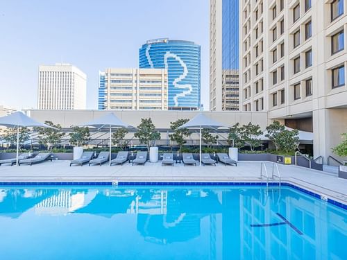 Rooftop swimming pool with lounge chairs and umbrellas, surrounded by high-rise buildings near Sofitel Brisbane Central
