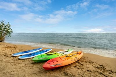 Activities near Rincon Beach Resort in Añasco, Puerto Rico