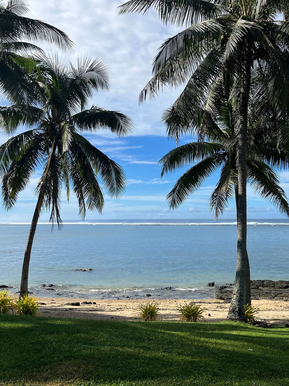 Beach view with palm trees at Beach Front Bure of Tambua Sands Beach Resort in Sigatoka.
