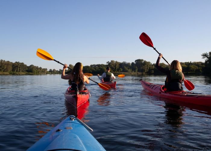 Kayak race in Ogunquit River Inn near Ogunquit Collection