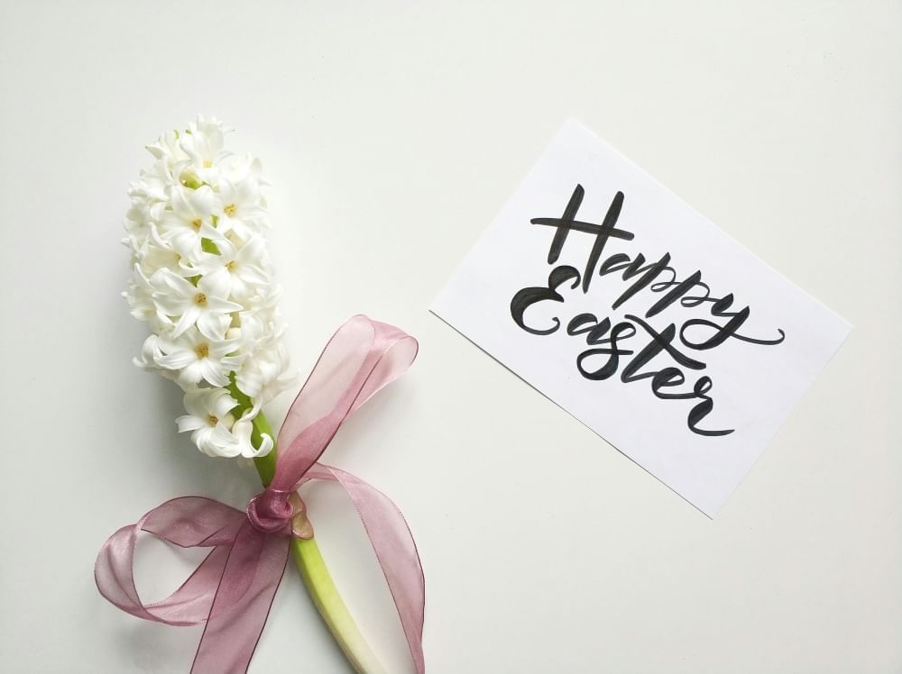 A single white hyacinth stem tied with a pink ribbon on a white surface with a card that reads Happy Easter 