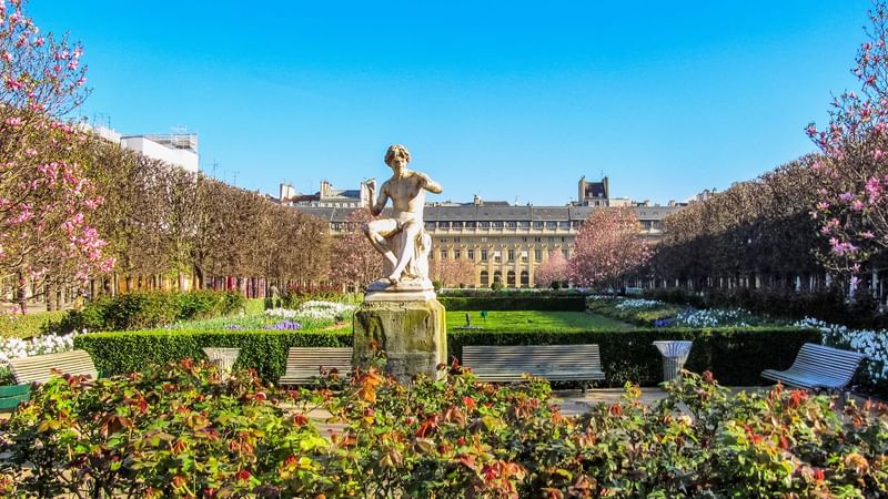 The Palais-Royal gardens in Paris, a Parisian favorite 