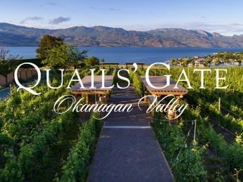 Pathway and scenic mountain view at Quail's Gate Estate Winery.