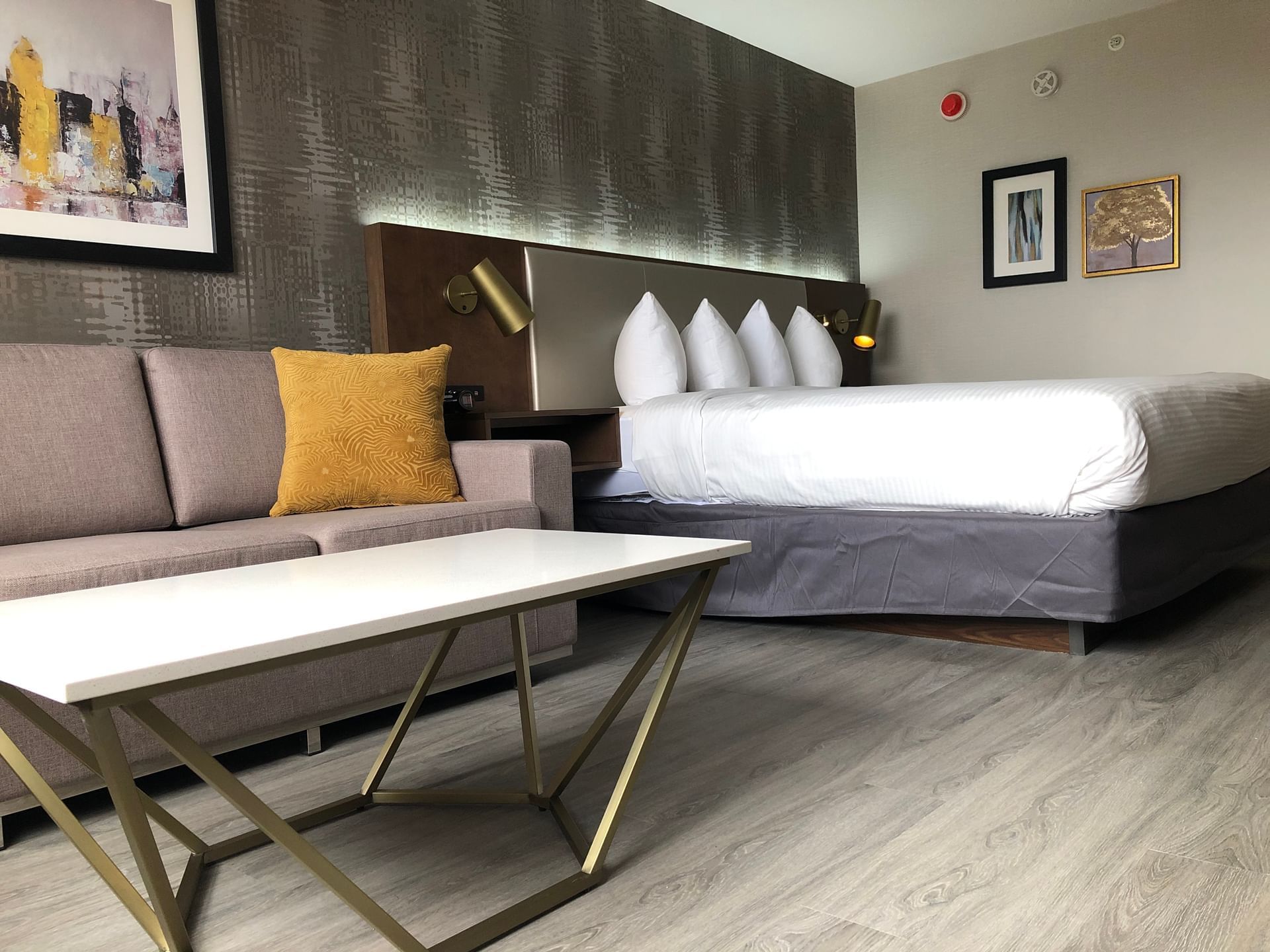 Modern accessible room with 1 queen bed, couch, and coffee table at Atlantica Hotel Halifax.