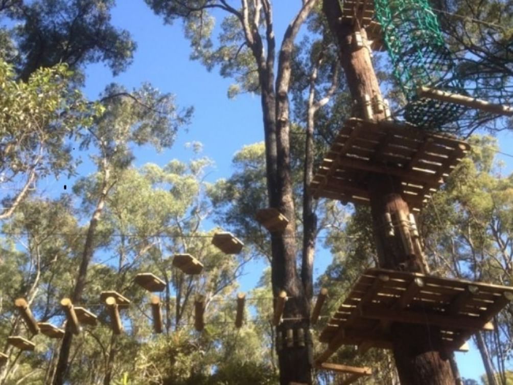 Treetops Adventure ropes course with wooden platforms and rope bridges high among the trees near The Sebel Mandurah