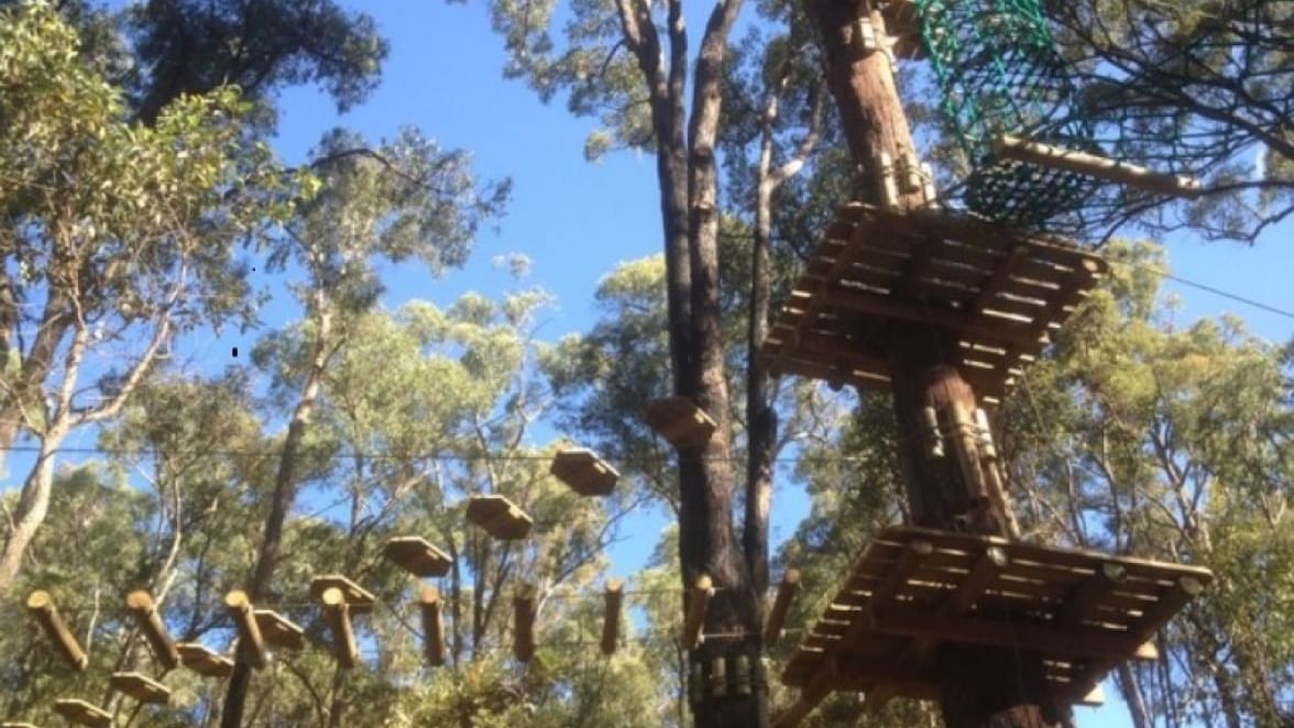Treetops Adventure ropes course with wooden platforms and rope bridges high among the trees near The Sebel Mandurah