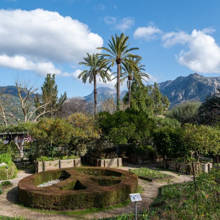 Botanischer Garten von Soller
