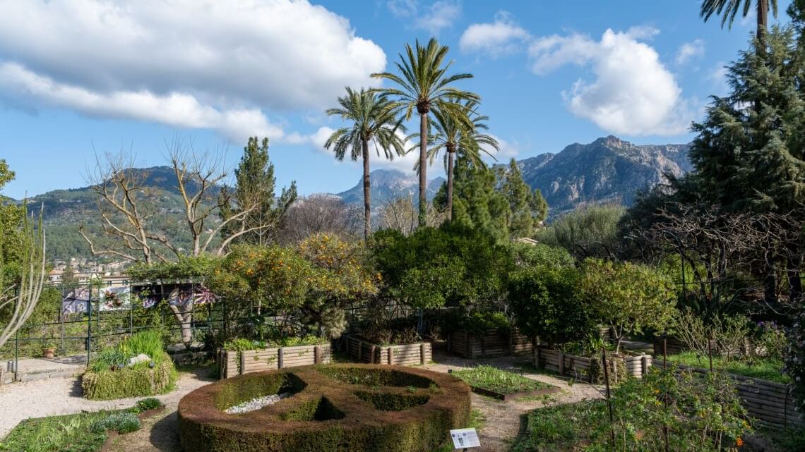 Jardi Botanic de Soller