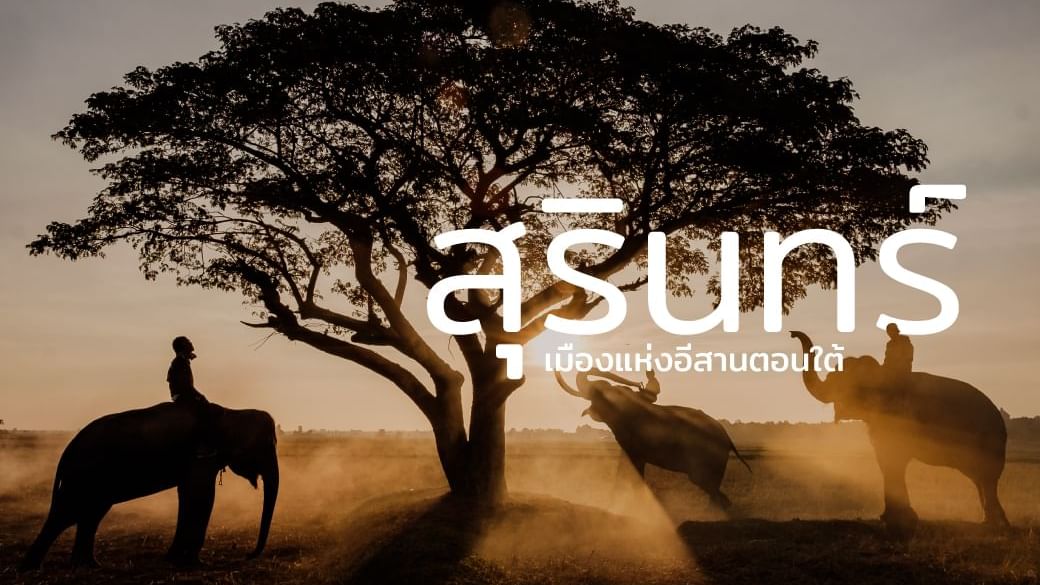 แนะนำที่เที่ยวสุรินทร์