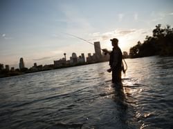 Man fishing at Bow River in evening near Carriage House Hotel