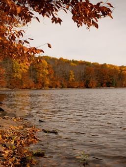 Landscape view of Lake Wallenpaupack surrounded by trees near Cove Pocono Resorts