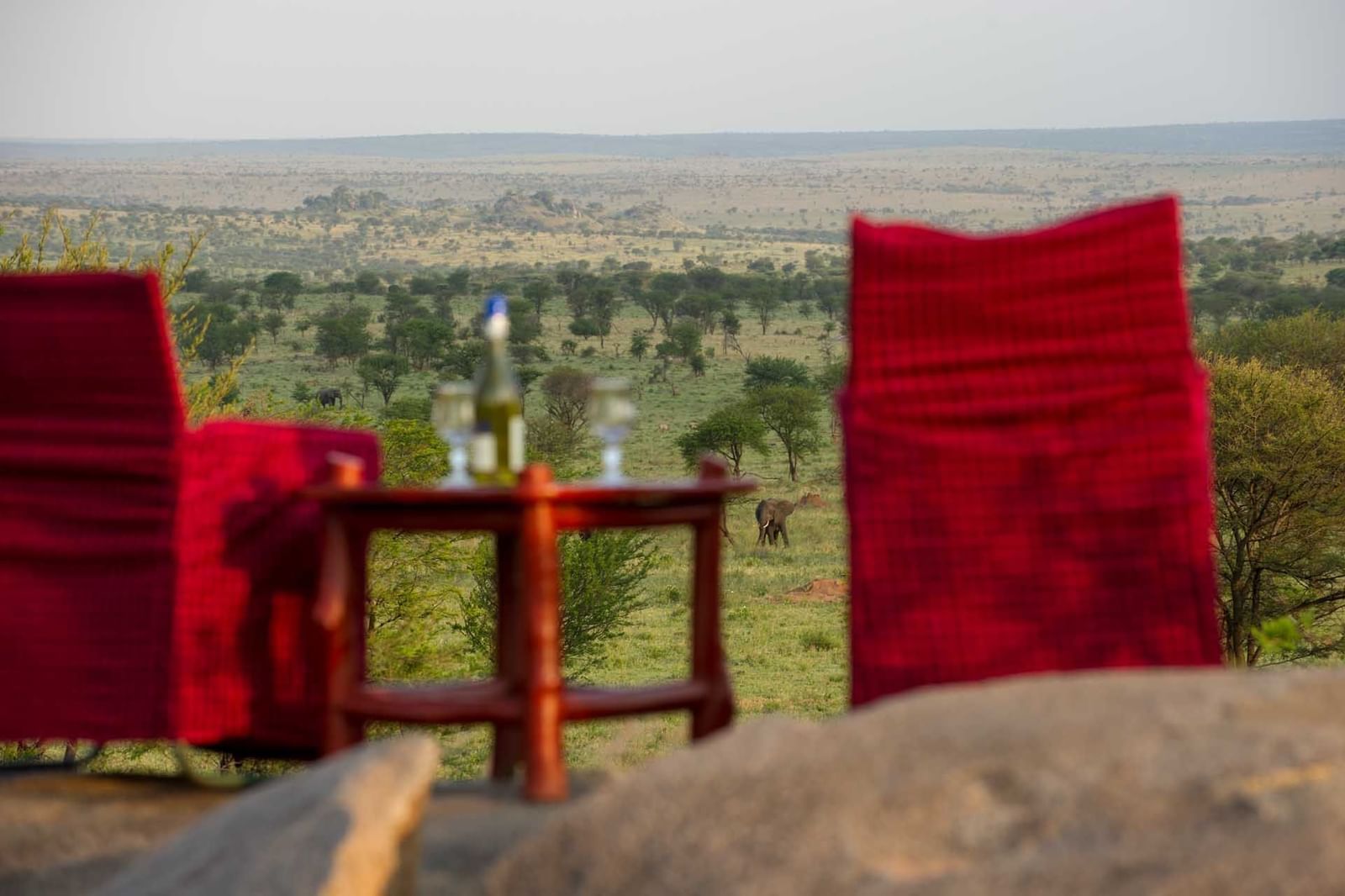 Chairs facing to nice view of forest at Mbuzi Mawe Serena Camp