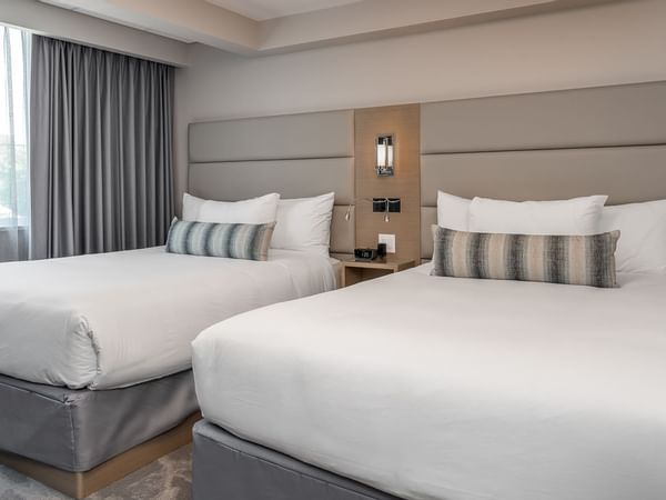 Coast Premium Two Queens Suite