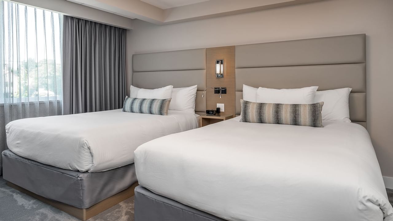 Coast Premium Two Queens Suite