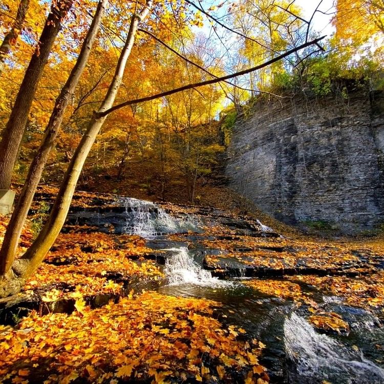 Small waterfall in Ithaca surronded by fall foliage