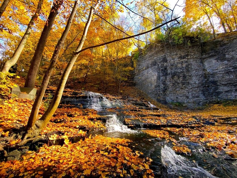 Small waterfall in Ithaca surronded by fall foliage