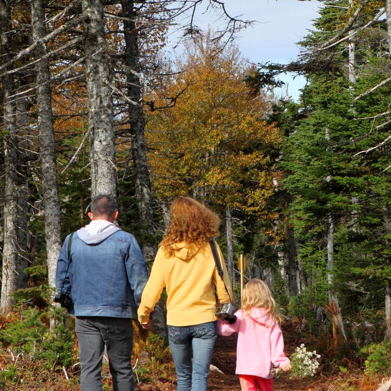 family things to do in Birmingham