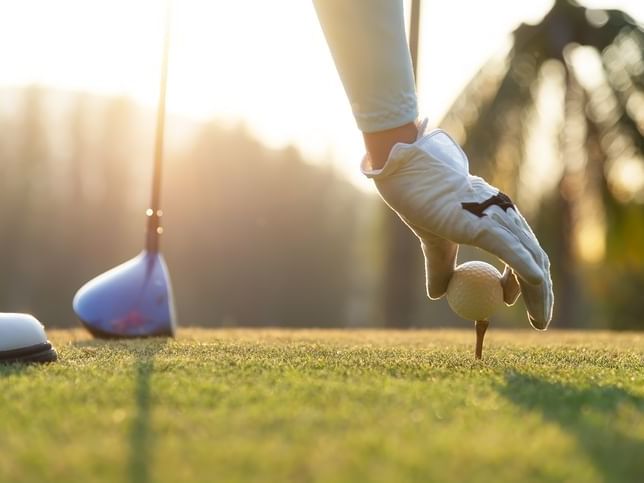 Golf ball being placed on a tee 