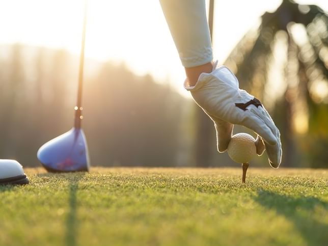Golf ball being placed on a tee