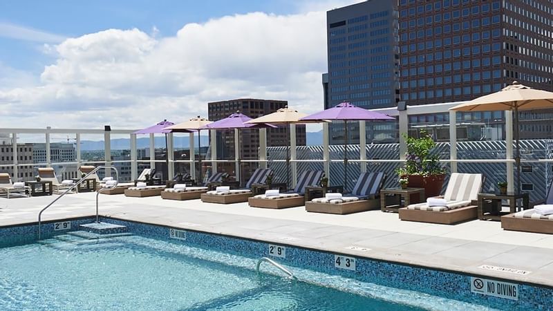 Pool at Warwick Denver