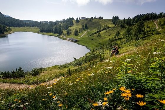 A lake with beautiful surroundings near Schloss Hotel Pichlarn