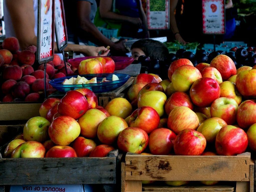 Apples piled in an street shop near Kellogg Conference Center