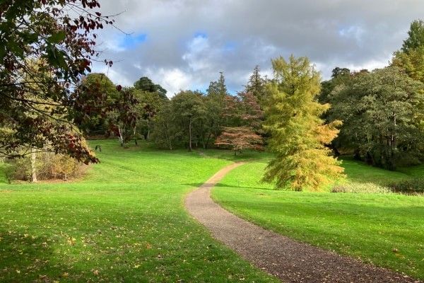 Windsor Great Park with expansive green fields, mature trees and scenic countryside views.