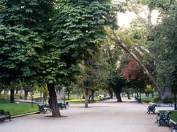 Forestal Park Santiago