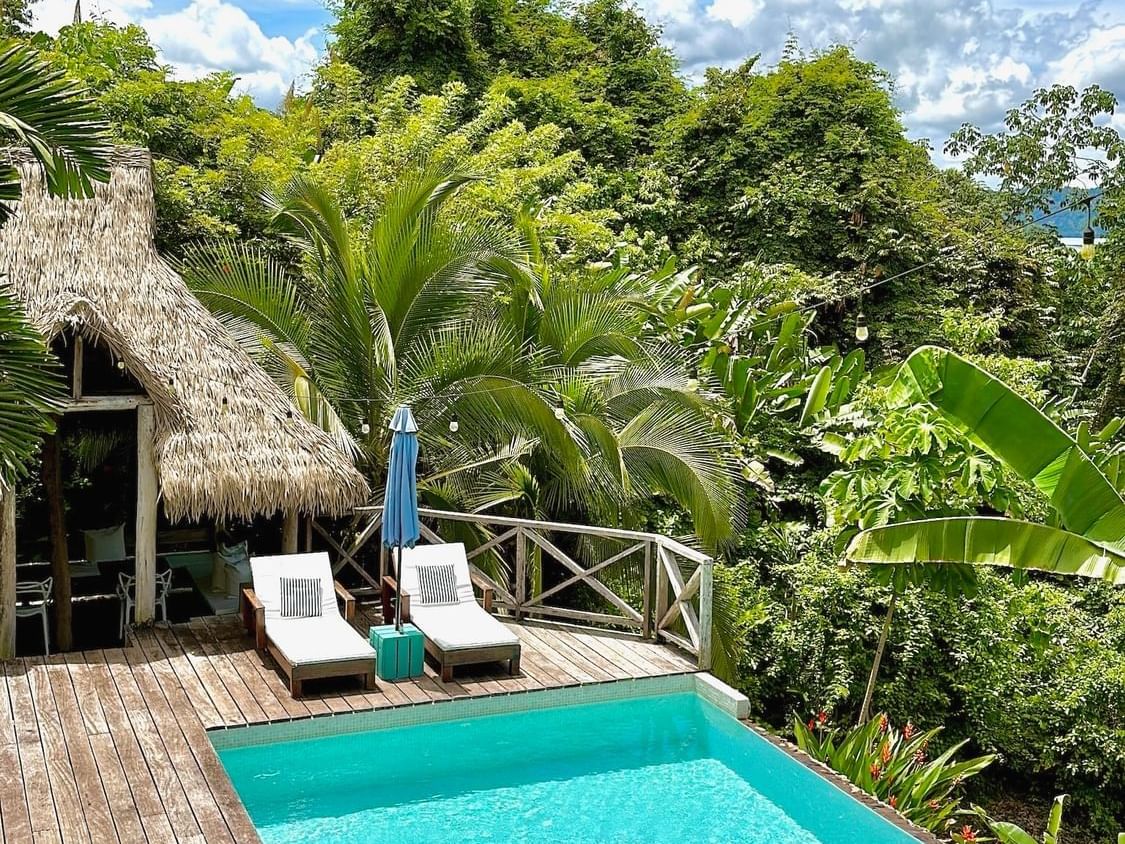 Infinity pool with sun loungers overlooking the lush greenery at Central Hotel Bocas Del Toro