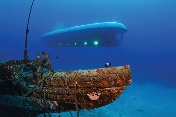 Close-up of a sunken ship at Ka'anapali Beach Hotel Hawaii