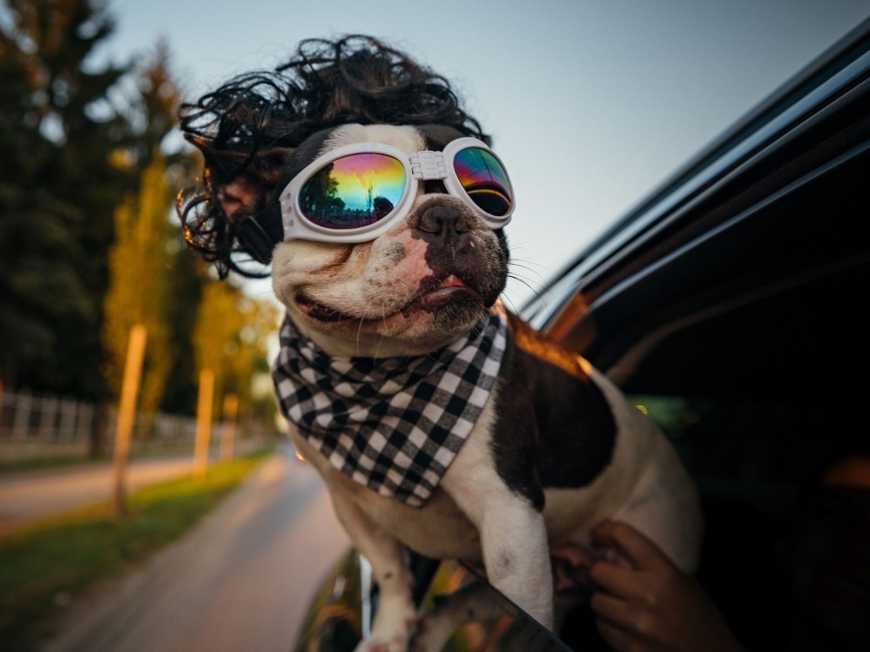 Roadtrip Package includes $25 gas card and underground parking