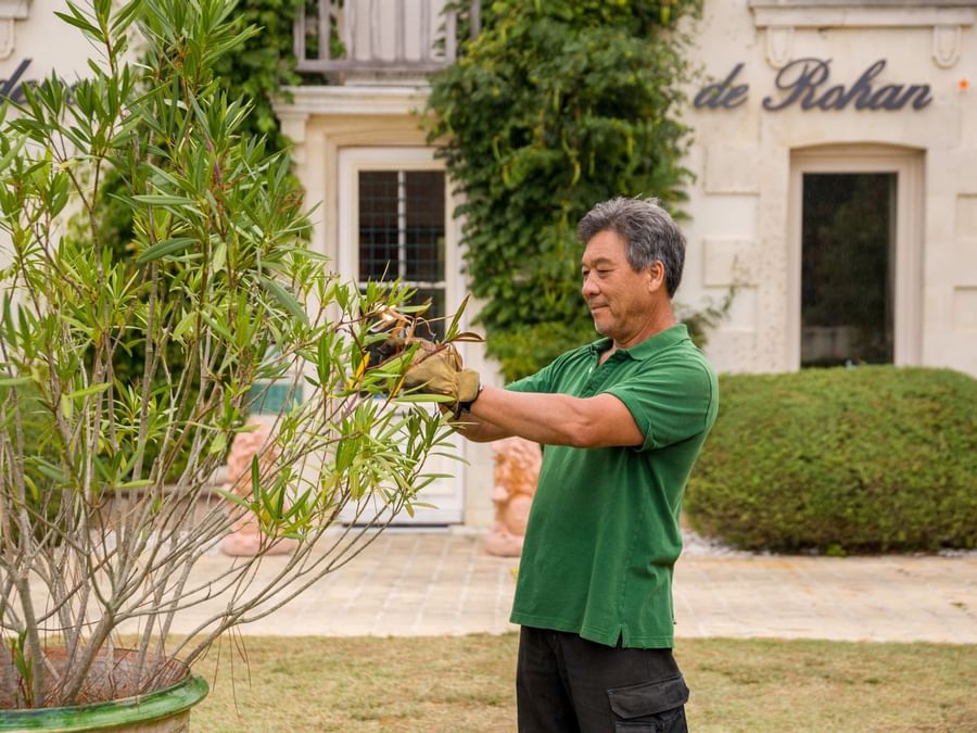 The old gardener cuts branches at Residence de Rohan