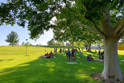 People laying in the Zero park near Honor’s Haven Retreat