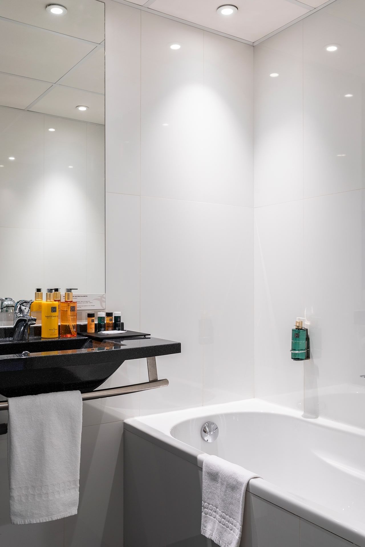 Baignoire, lavabo avec articles de toilette, Escale Oceania Aix-en-Provence