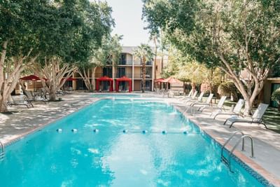 Sunbeds by the outdoor pool area at Araiza Mexicali