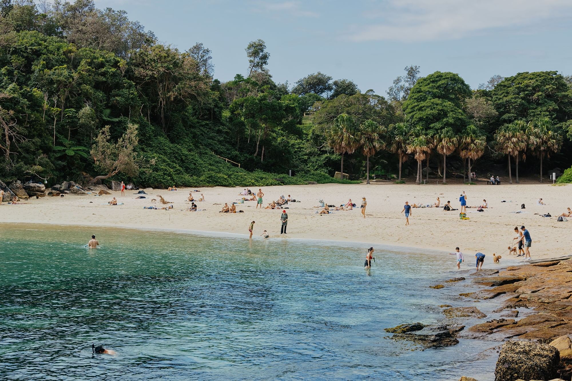 Shelly Beach, Manly