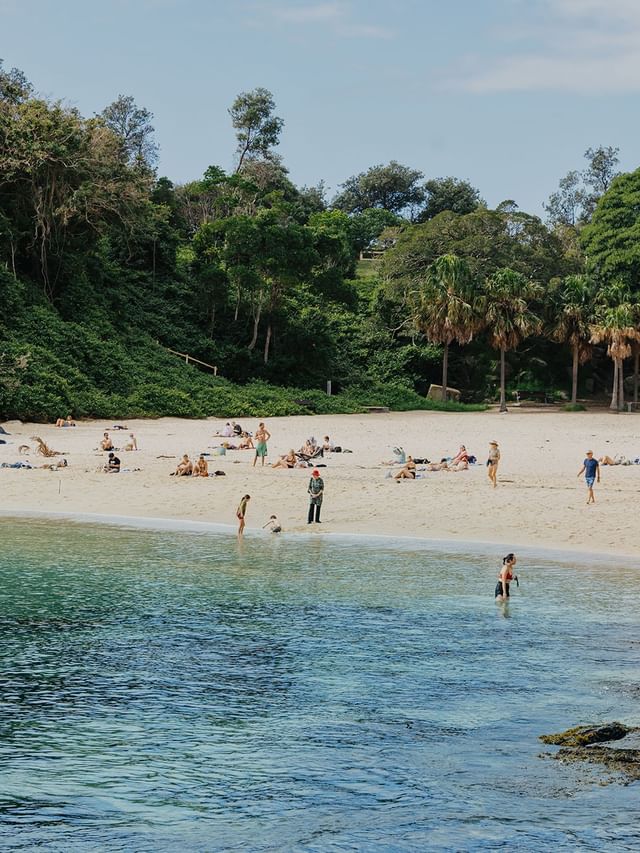 Shelly beach at Elysium Hotels between lush green cliffs and ocean with many swimmers, showcasing popular manly attractions