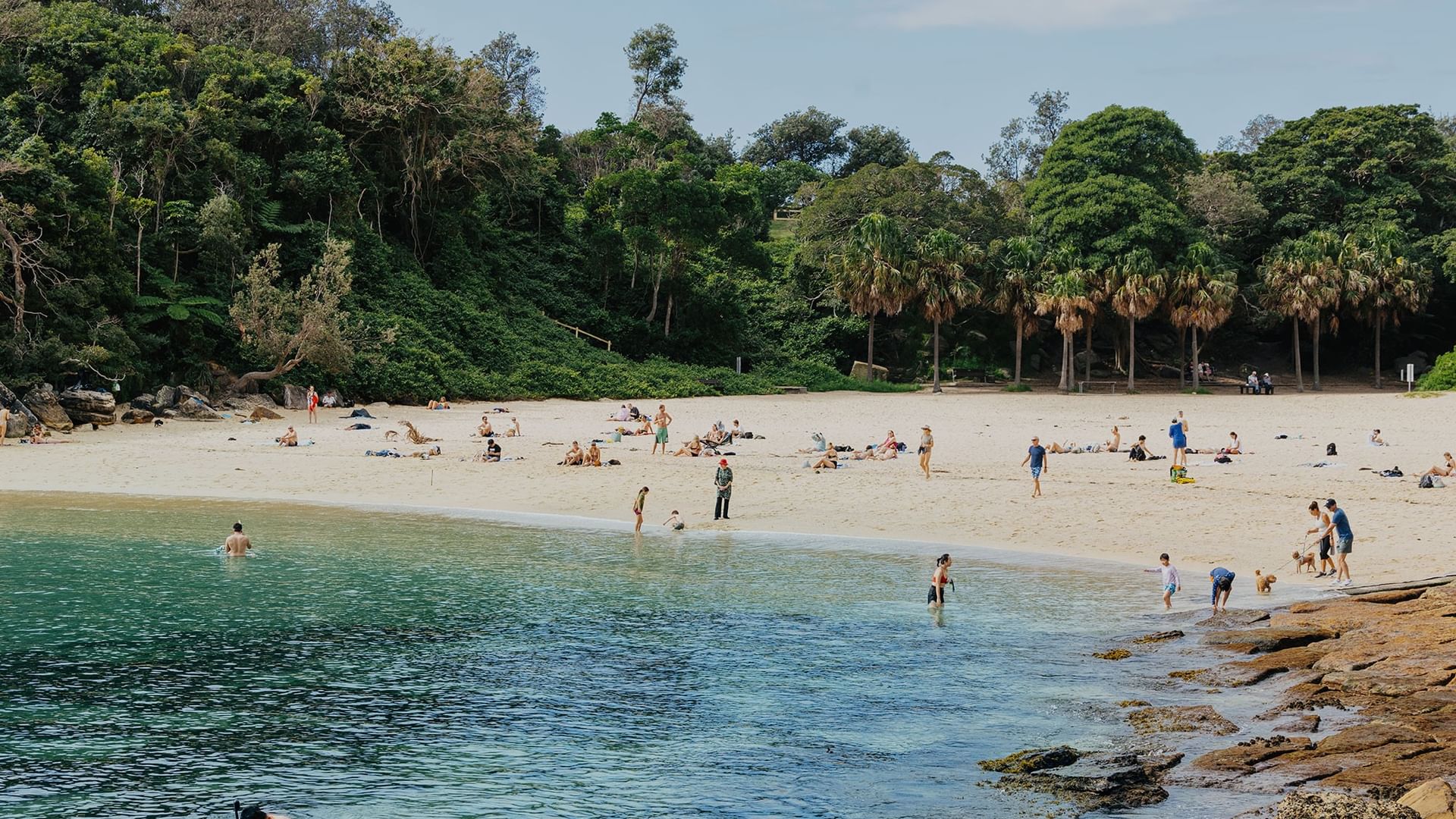Shelly beach at Elysium Hotels between lush green cliffs and ocean with many swimmers, showcasing popular manly attractions