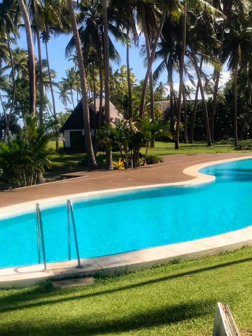 Curved beachfront pool surrounded by palm trees and manicured lawn with ocean views and thatched-roof structure