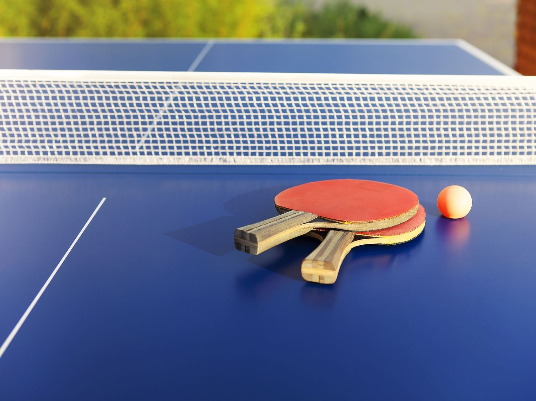 Table tennis racket & ball on blue table at Southern Palms Club