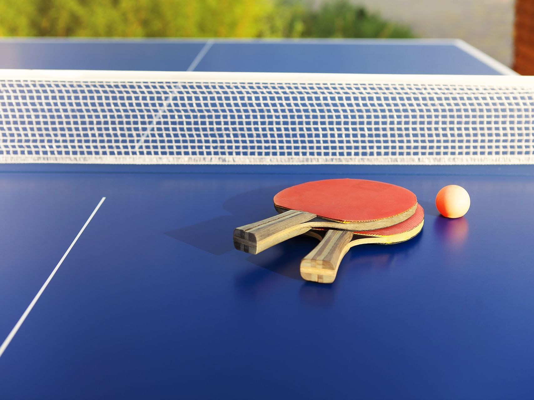 ping pong Near Me Do it Best Barbados