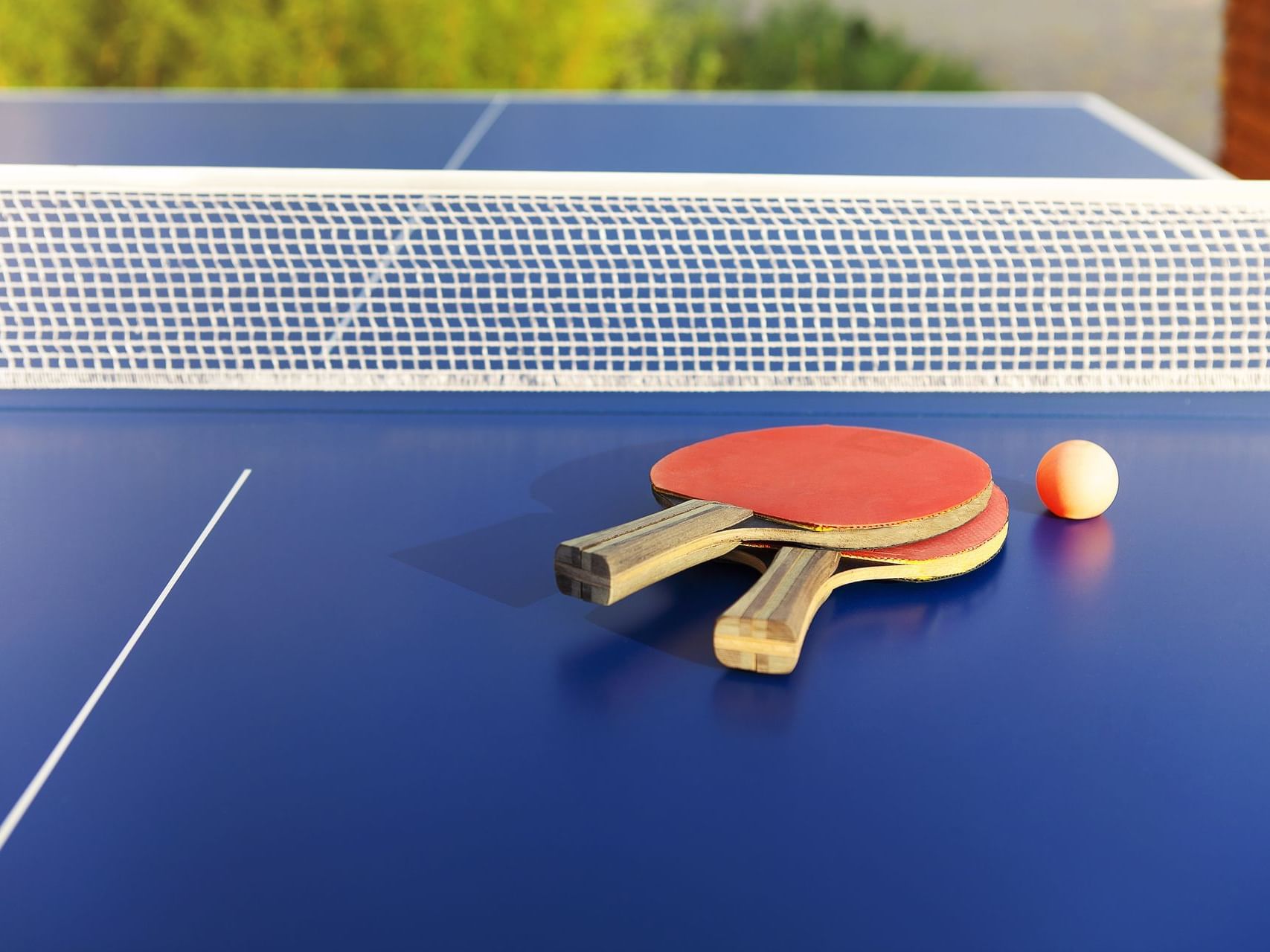 ping pong Near Me  Do it Best Barbados