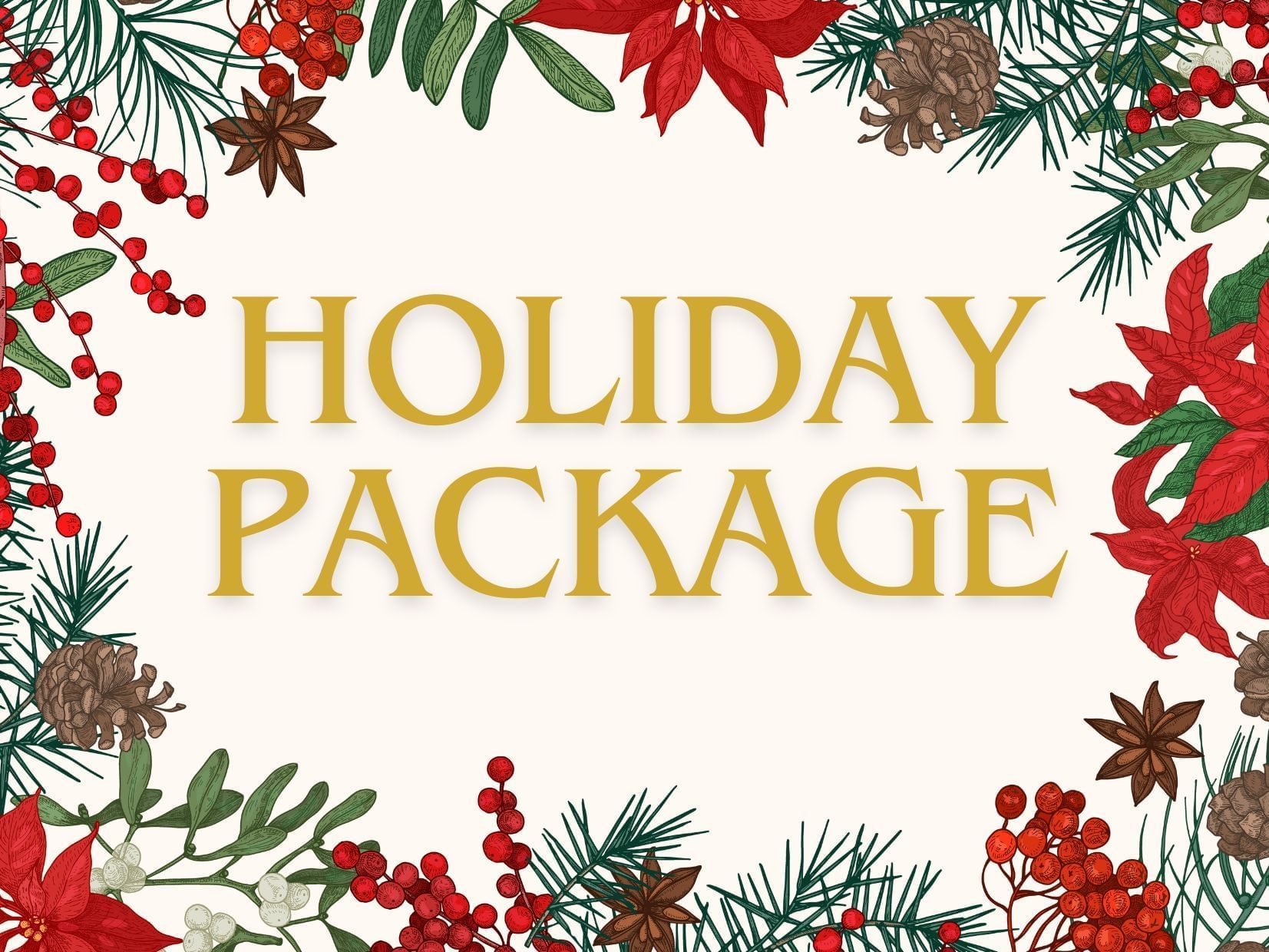 HOLIDAY PACKAGE