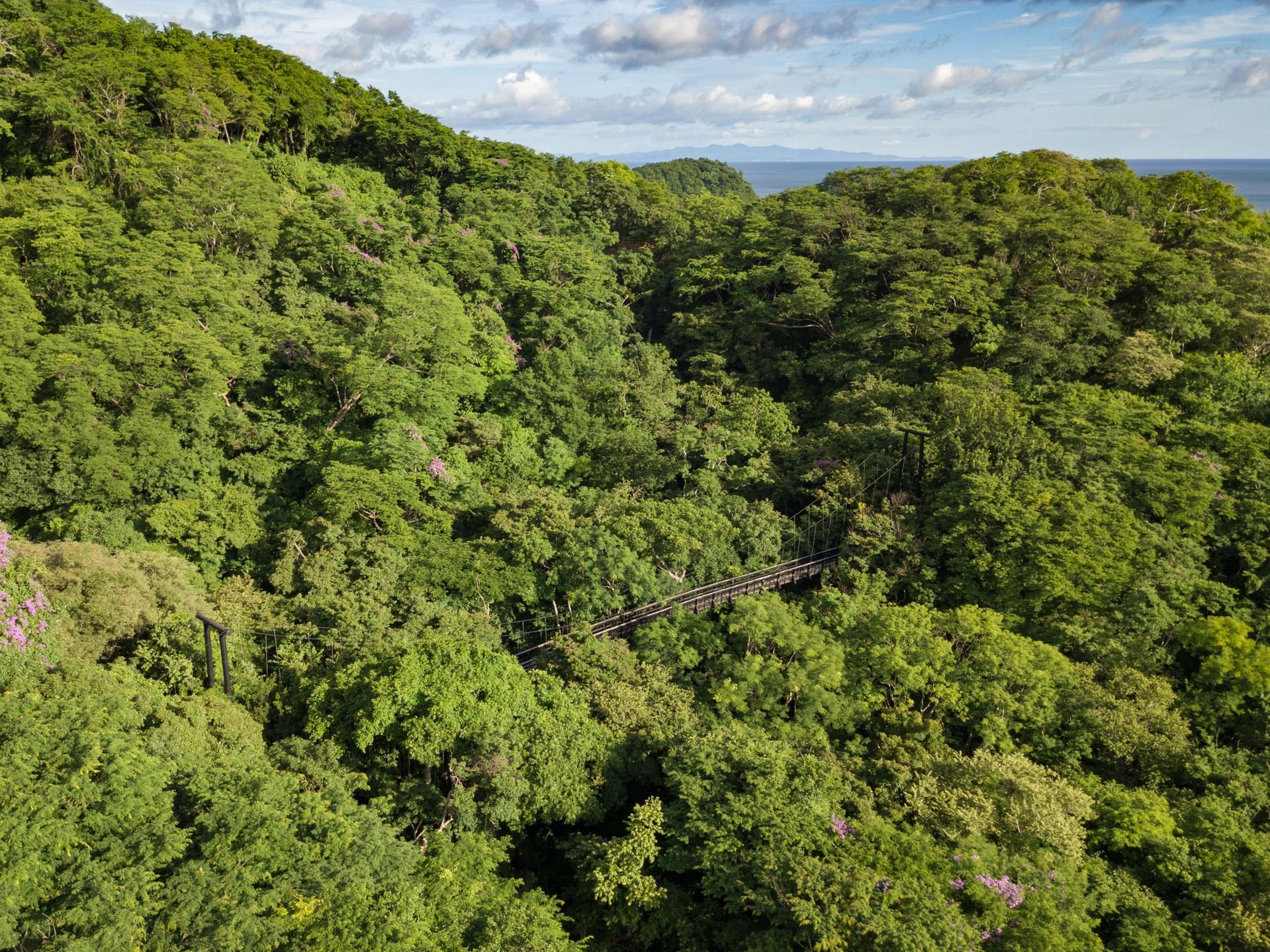 Long suspension bridge over a  valley in a lush forest near Morgan's Rock Reserve & Ecolodge, San Juan del Sur hotels