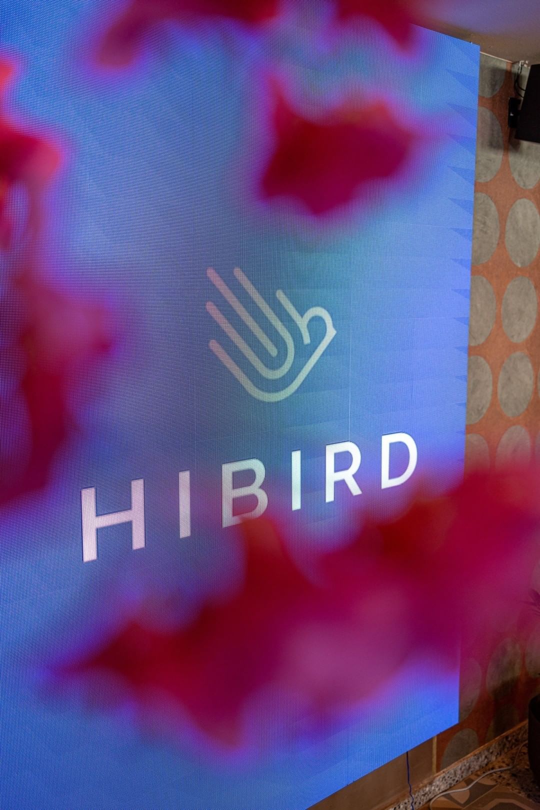 Hibird logo on digital screen with floral foreground, branding detail at boutique stays in Condado, San Juan, Puerto Rico.